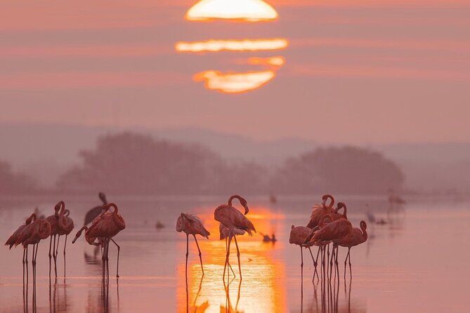 Romantic sunset tour in Río Lagartos, with food - FAQs