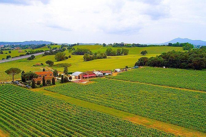 Romantic Vespa Tour and Wine Tasting - What the Reviews Say