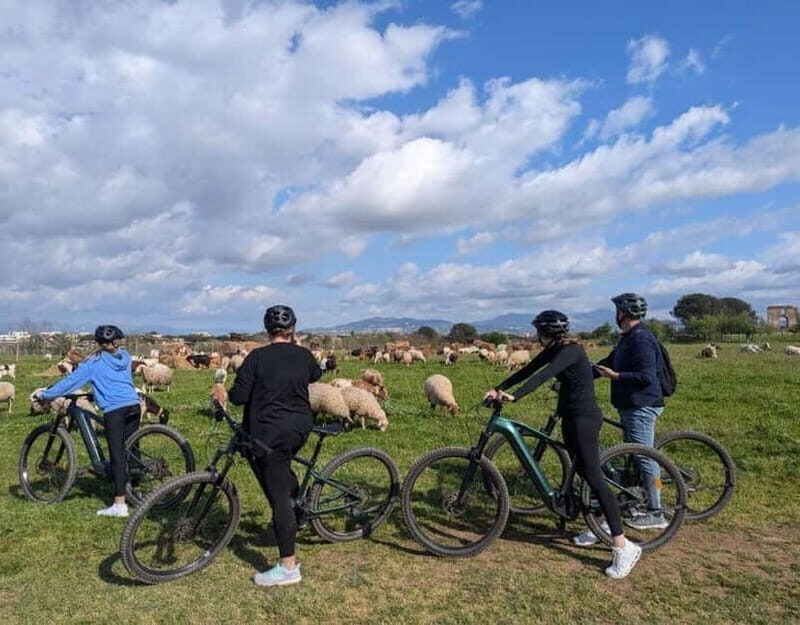 Rome: Appia Antica & Ancient Underground Labyrinth by Ebike - Final Thoughts: Is This Tour Right for You?