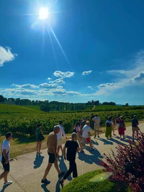Rome: Assisi, Montefalco wines & Perugia Day Trip with Lunch - Key Points