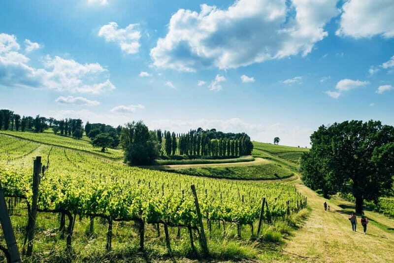 Rome: Assisi, Montefalco wines & Perugia Day Trip with Lunch - An Authentic Taste of Italy’s Heartland