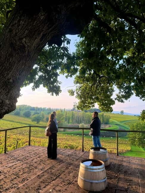 Rome: Assisi, Montefalco wines & Perugia Day Trip with Lunch - Authentic Experiences and Real Reviews