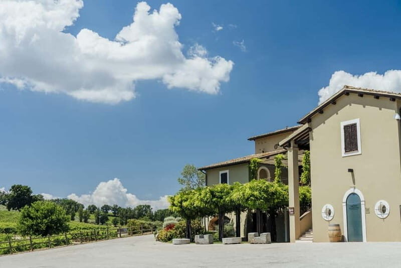 Rome: Assisi, Montefalco wines & Perugia Day Trip with Lunch - The Sum Up