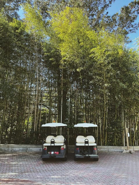 Rome City Sightseeing by Golf Cart Or Tuk Tuk (Private) - Tour Flexibility and Cancellation Policy