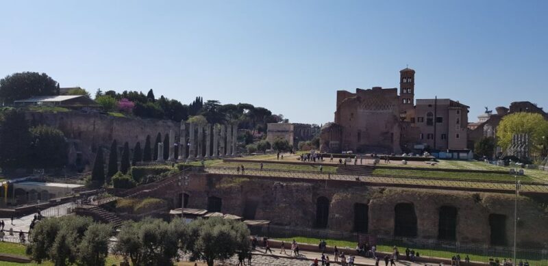 Rome: Colosseum Arena, Forum & Palatine Hill Private tour - A Closer Look at the Experience
