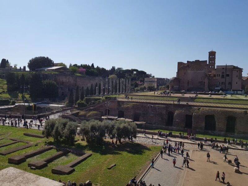 Rome: Colosseum Arena, Forum & Palatine Hill Private tour - Final Thoughts