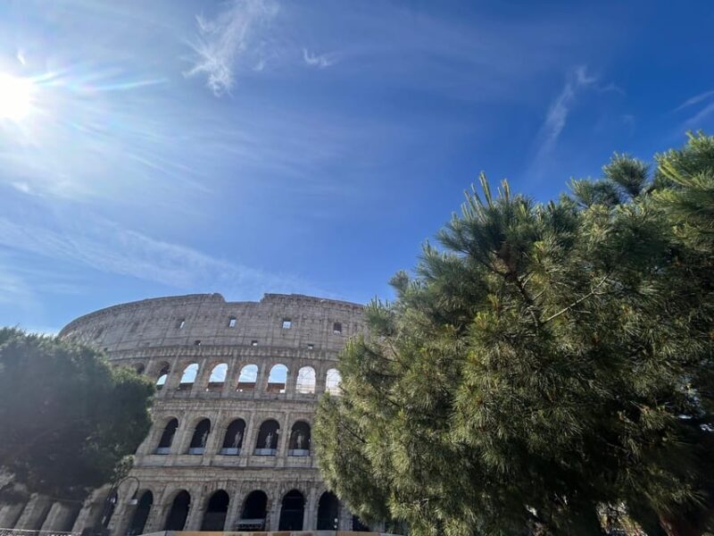 Rome: Colosseum Arena, Roman Forum & Palatine Tour - Authentic Experiences and Genuine Value