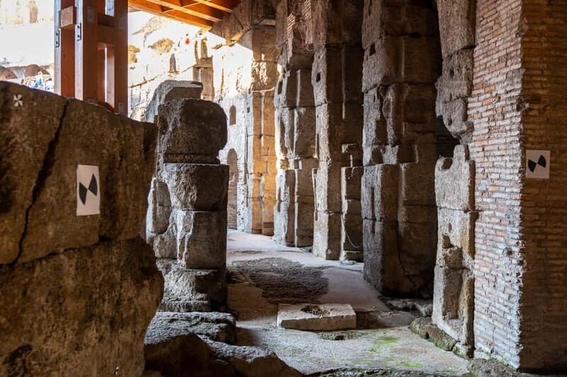 Rome: Colosseum Dungeon, Forum & Palatine Hill VIP Tour - Key Points