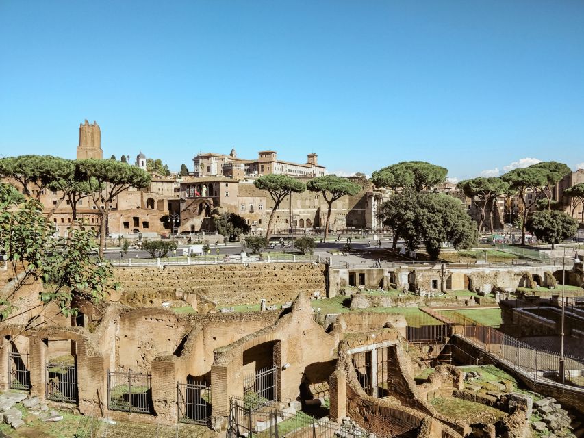 Rome: Colosseum, Roman Forum And Palatine Hill Guided Tour - Ascending Palatine Hill