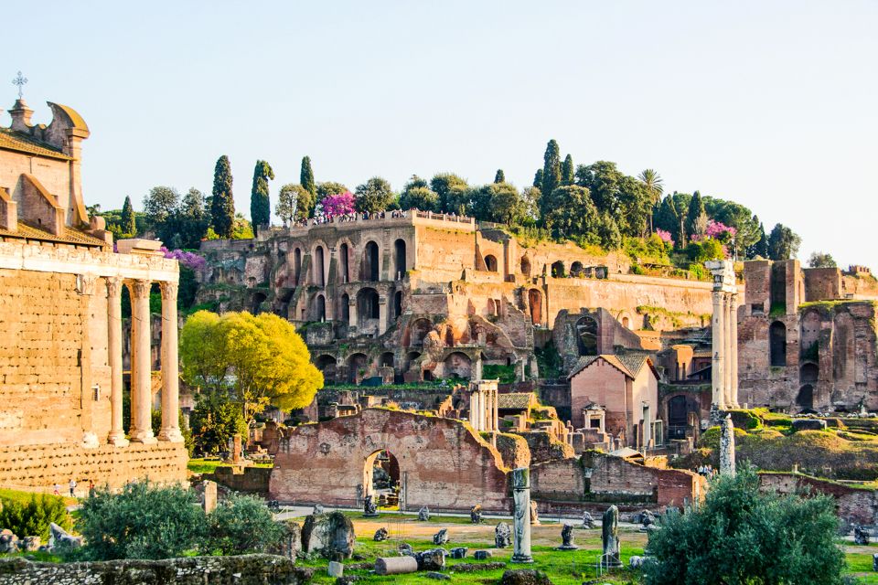 Rome: Colosseum, Roman Forum And Palatine Hill Guided Tour - Ask Away