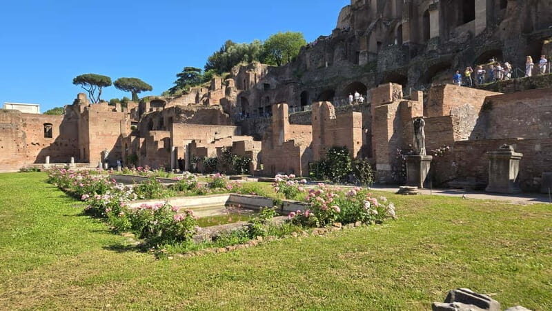Rome: Colosseum, Roman Forum, and Palatine Hill Guided Tour - The Sum Up