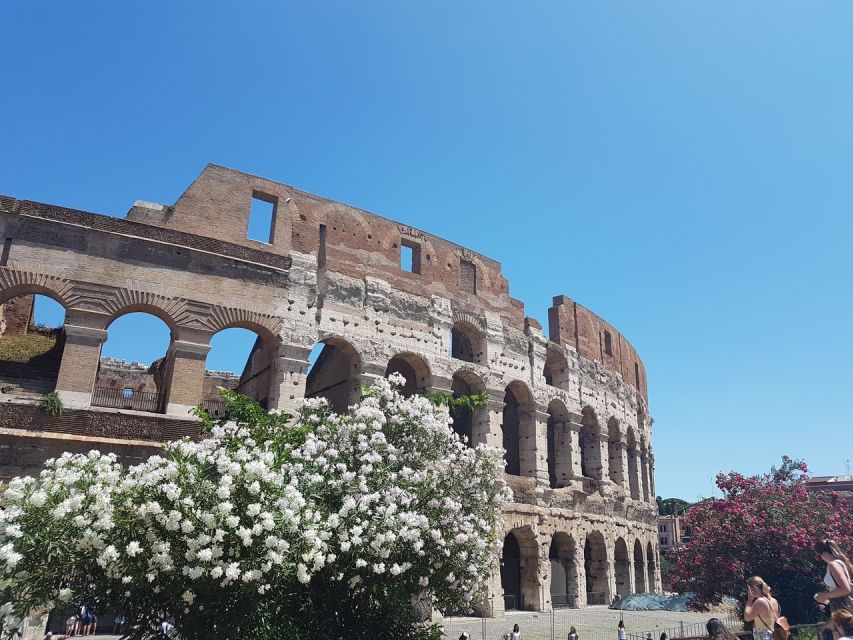 Rome: Colosseum Tour - Key Points