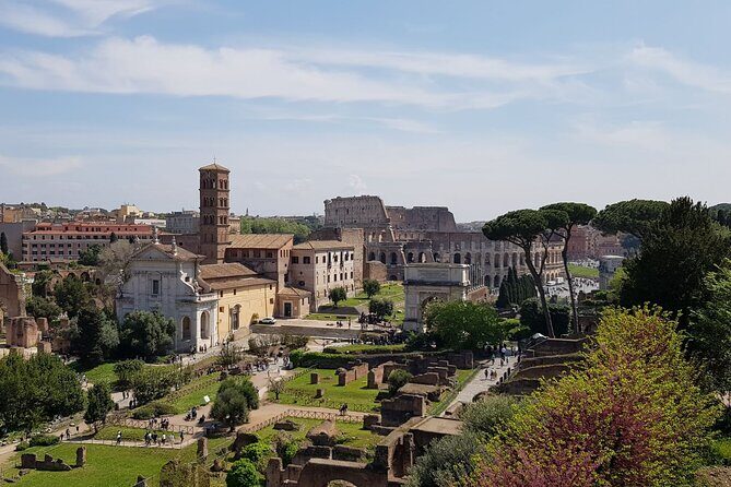 Rome Colosseum,Palatine Hill and Roman Forum Guided Tour - Who Should Book This Tour?