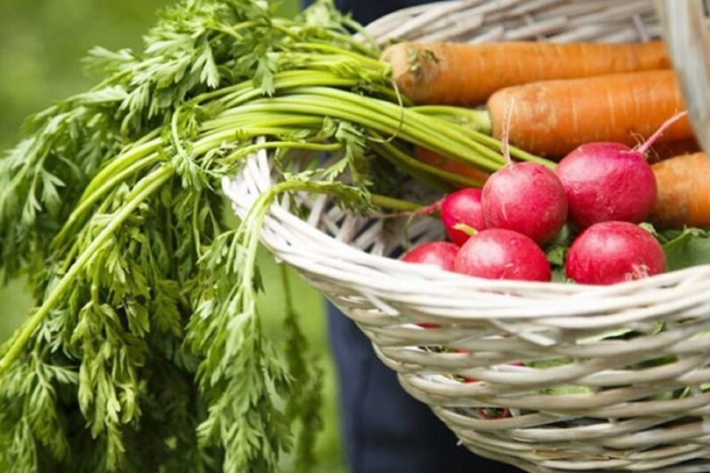Rome: Cooking Lesson to learn the Secrets of Italian Cuisine - Introduction: A Tasty Taste of Romes Culinary Secrets