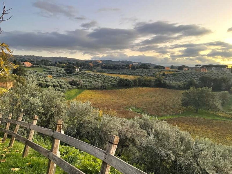 Rome Countryside: Wine Tasting Tour with Private Driver - Key Points