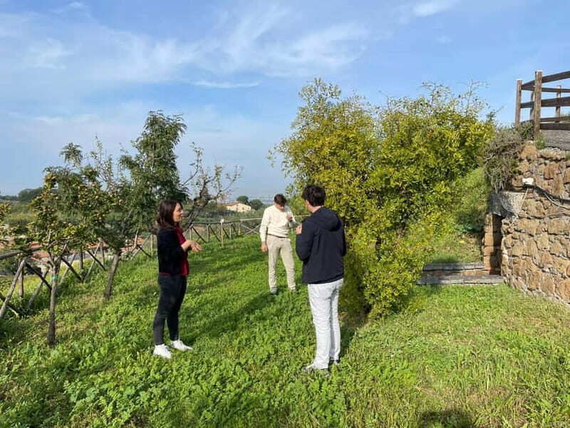 Rome Countryside: Wine Tasting Tour with Private Driver - FAQ