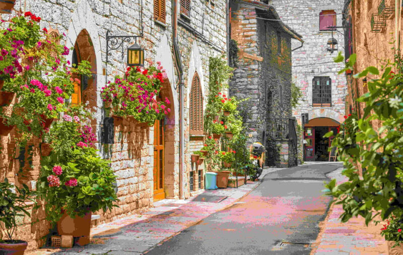 Rome: Day Trip From Rome to Assisi with a Local - Who Will Love This Tour?