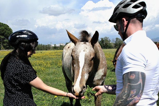 Rome EBike Tour: Appian Way, Catacombs & Roman Aqueducts - Safety and Accessibility Information