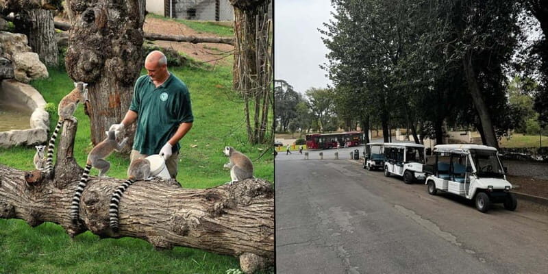 Rome: Entrance ticket to the Zoo+Tour by Golf Cart in Villa Borghese - Analyzing Value and Practical Tips  