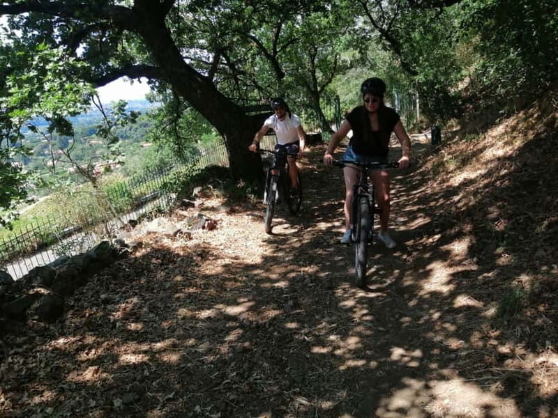 Rome: Frascati Vineyard Bike Tour with Wine Tasting - The Experience on the Ground