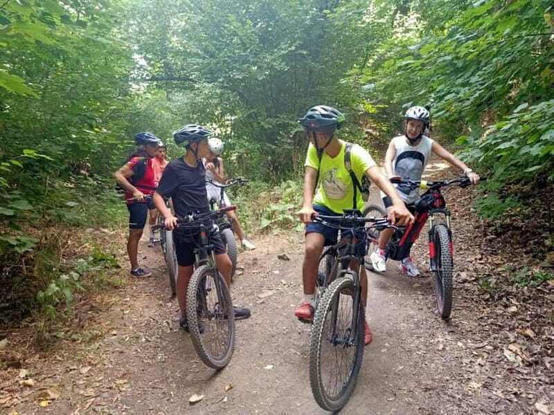 Rome: Frascati Vineyard Bike Tour with Wine Tasting - Practical Details and Logistics