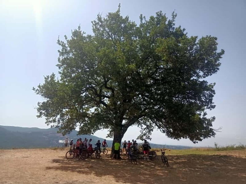 Rome: Frascati Vineyard Bike Tour with Wine Tasting - Final Thoughts