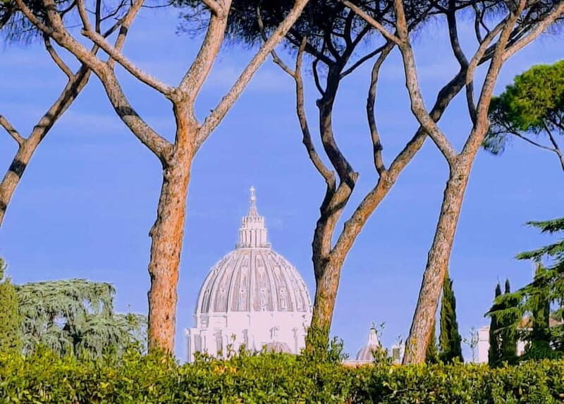 Rome: Gianicolo Hill and Trastevere Highlights Walking Tour - Who Is This Tour Best For?