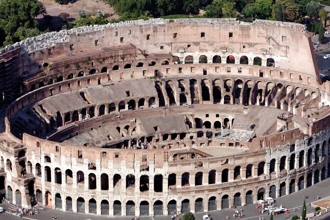 Rome: Guided Group Tour of Colosseum, Roman Forum & Palatine Hill - Reviews and Participants Feedback