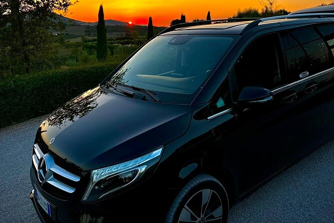 Rome Hotel to Fiumicino FCO Airport: Private Transfer - Key Service Features Highlighted