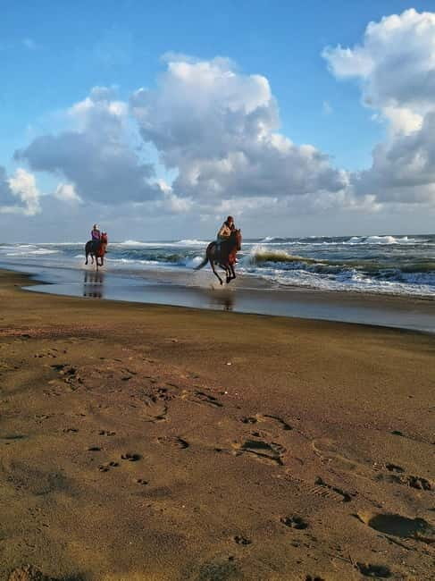 Rome on Horseback : Ancient Ostia & the beach with Aperitif - Practical Considerations