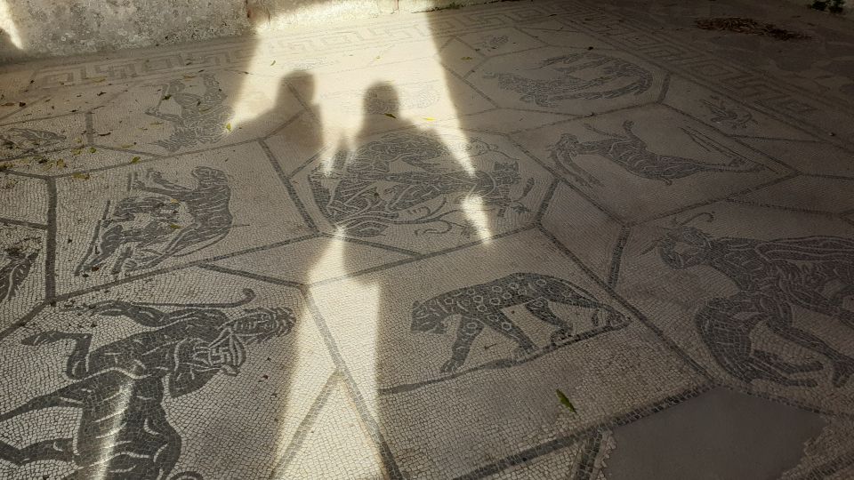 Rome: Ostia Antica Private Guided Tour - Key Features