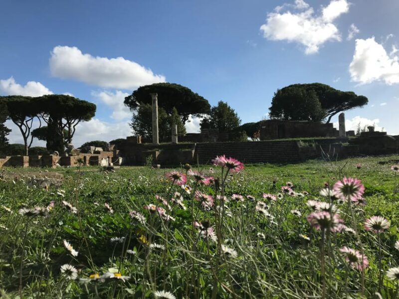 Rome: Ostia Antica Skip-The-Line Entry Ticket & Tour Option - Meeting Point and Visitor Information