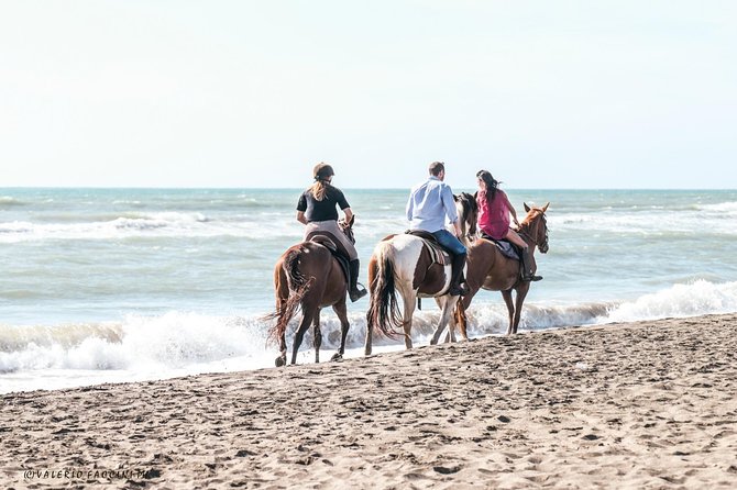 Rome: Private Horseback Riding Experience on the Beach - Traveler Reviews