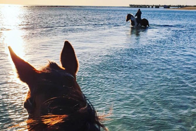Rome: Private Horseback Riding Experience on the Beach - Booking and Confirmation