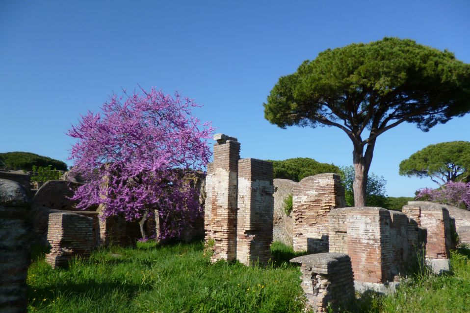 Rome: Private Ostia Antica Tour - Inclusions and Exclusions