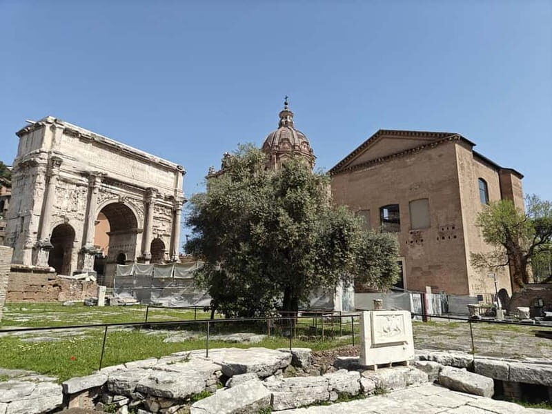 Rome: Roman Forum Myths and Legends Private Guided Tour - The Value for Money