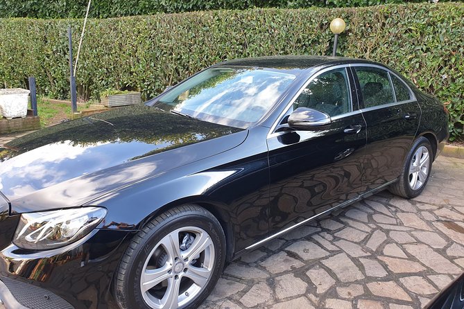 Rome Shore Excursion: Pre-Cruise Private Sightseeing Tour Including Civitavecchia Port Drop-Off - Luggage and Accessibility Details