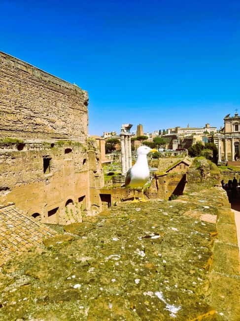 Rome: Small-Group Colosseum, Roman Forum & Palatine Hill - The Experience in Detail