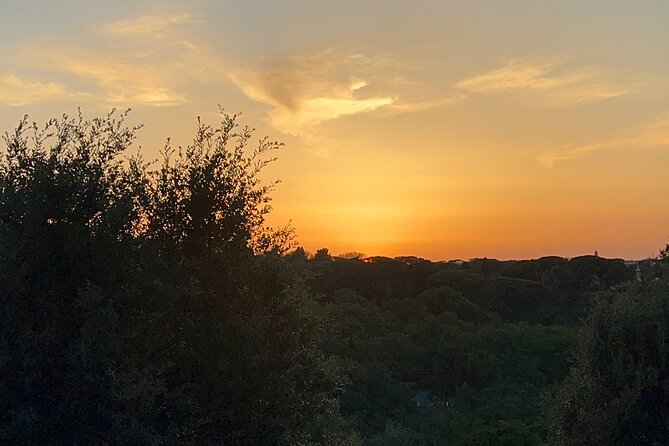 Rome Sun Set Tour - Verified Customer Reviews