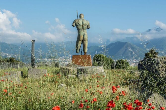 Rome to Pompeii Guided Tour With Wine & Lunch by High Speed Train - Additional Information
