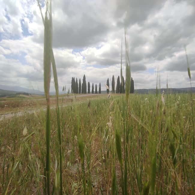 Rome to Tuscany (Florence) Private Transfer and Tour - An Authentic, Balanced Look at the Experience