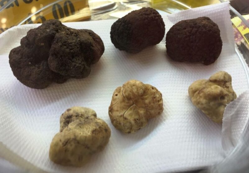Rome: Trastevere Guided Food and Wine Tour with 20+ Tastings - Authentic Experiences Highlighted by Guests