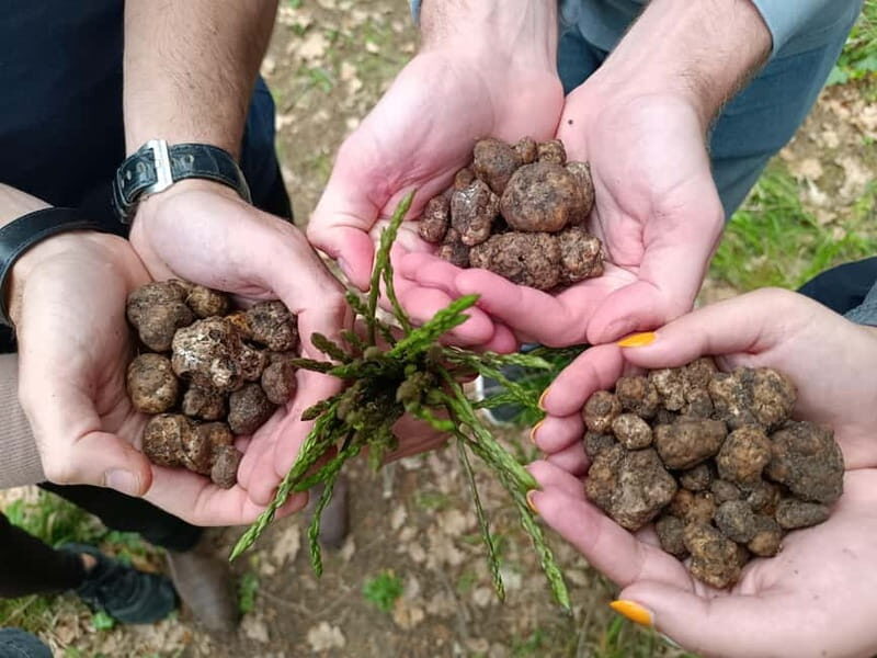 ROME: Truffle Hunting and Lunch with Truffle Dishes - The Lunch: A Celebration of Truffles