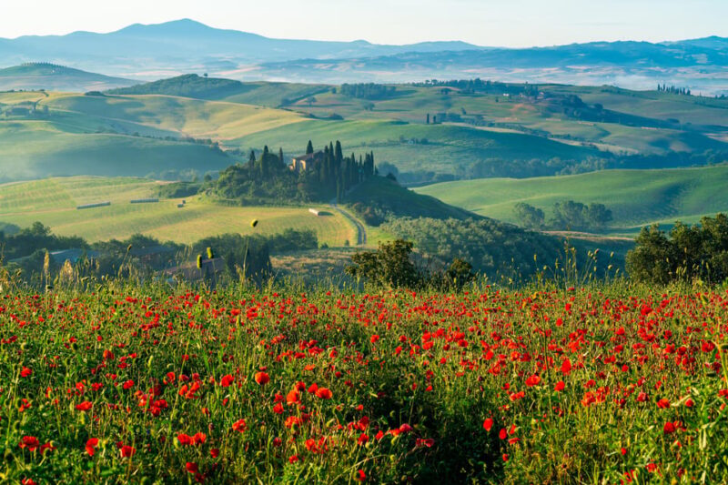 Rome: Tuscany & Montepulciano Day Trip With Lunch & Wines - Customer Reviews and Ratings