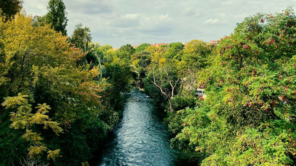 Rome: Urban Hike Along Romes Second Biggest River (Aniene) - Recap