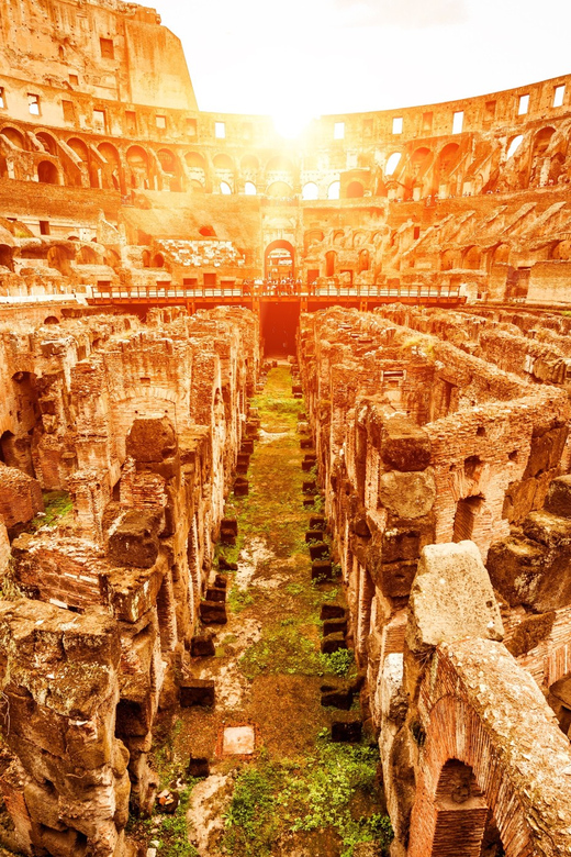 Rome: VIP Colosseum, Roman Forum, Palatine Hill Experience - Highlights of the Colosseum