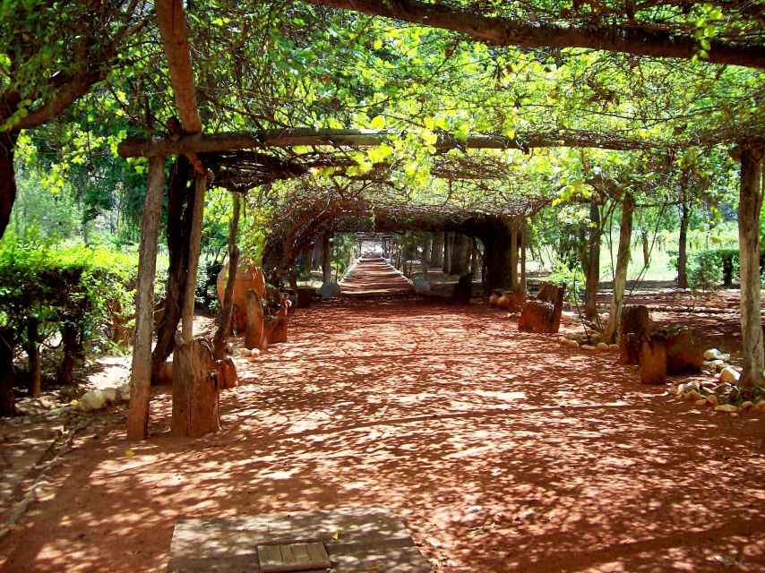 Rome: Wine Tasting and Pizza Making Class at a Vineyard - Accessibility and Restrictions