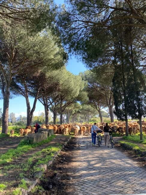 Rome:Appian Way E-bike Tour, Catacombs, Aqueducts & Transfer - Key Points