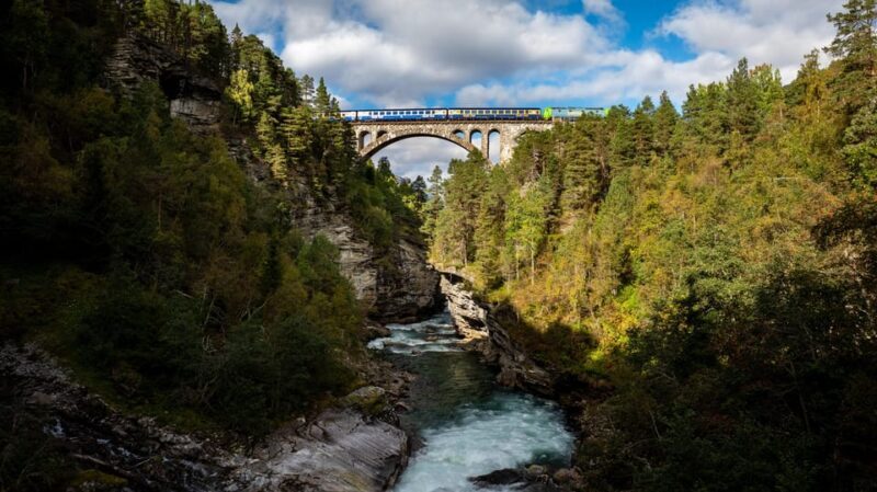 Romsdalen: Rauma Railway Golden Train with Guide - Who Should Consider This Experience