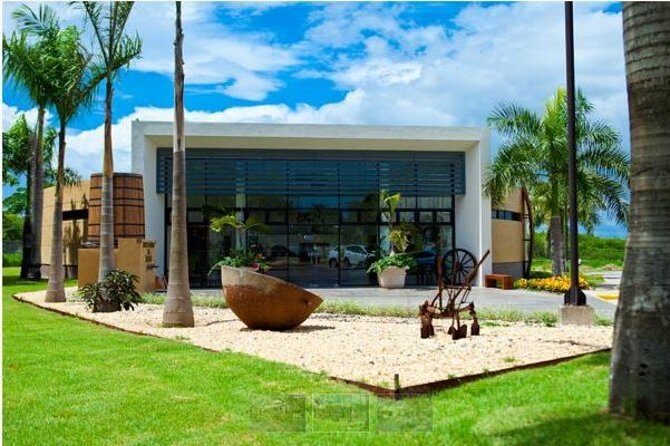 Ron Barcelo Anejo Experience Factory Tour - Key Points